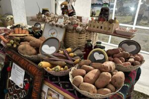 dani-glamockog-krompira