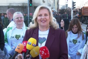 milada-cisto-lice-grada